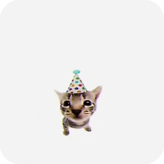 🌟 emoji «𝙢𝙚𝙢 𝙘𝙖𝙩𝙨🐈» Telegram sticker 12 of 18