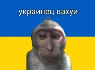 🌟 emoji Мемы для важных переговоров by Telegram sticker 13 of 120