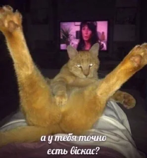 😋 emoji Для важных переговоров Telegram sticker 8 of 41