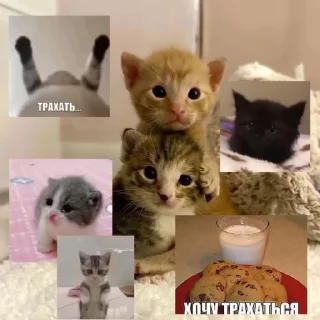 😉 emoji дрожжи Telegram sticker 5 of 48