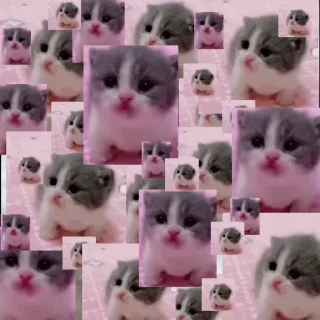 🌟 emoji дрожжи Telegram sticker 13 of 48