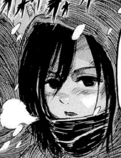 ⚔️ emoji Mikasa Manga Telegram sticker 24 of 120