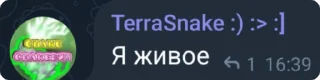 🌟 emoji 🍀Чат Игры клевера🍀 #2 *Лестон* Telegram sticker 19 of 120