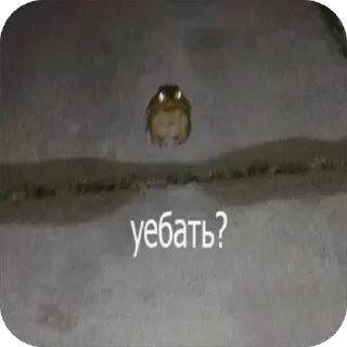 😡 emoji чем гуще лес.. Telegram sticker 12 of 120