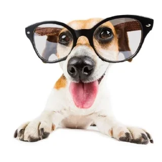 😃 emoji goldenaura Telegram sticker 8 of 63
