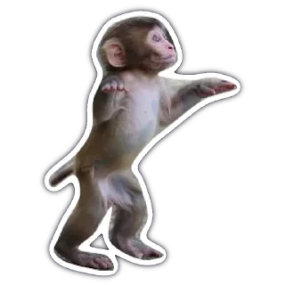 💃 emoji monkey Telegram sticker 12 of 18