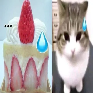 🌟 emoji собакоты ₍⸍⸌̣ʷ̣̫⸍̣⸌₎ Telegram sticker 20 of 65
