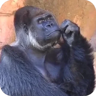🫥 emoji monkey pon Telegram sticker 5 of 48