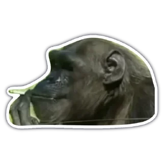 🚬 emoji monkey Telegram sticker 9 of 18