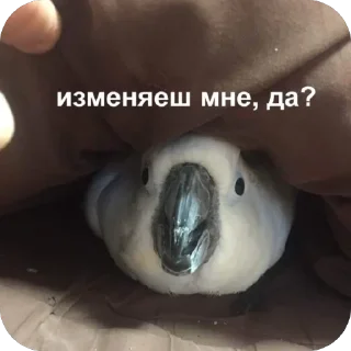 🫥 emoji Зе Telegram sticker 22 of 60