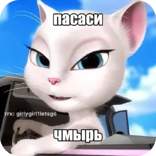 🐱 emoji slay_stickers Telegram sticker 8 of 11