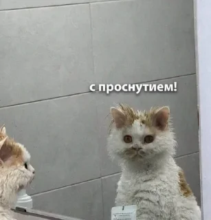 🌟 emoji На случай важных переговоров Telegram sticker 5 of 120