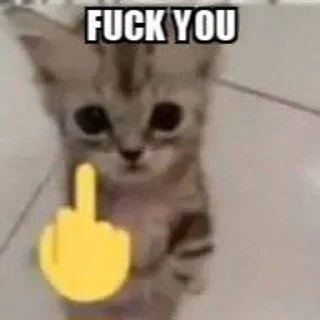 🖕 emoji Котятки Telegram sticker 23 of 69