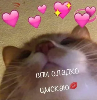 💋 emoji areyoudumb Telegram sticker 11 of 58