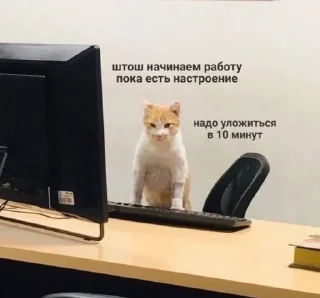 🌟 emoji На случай важных переговоров Telegram sticker 8 of 120