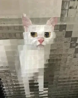 🥲 emoji Oh my God, котямбры❤️ Telegram sticker 23 of 52