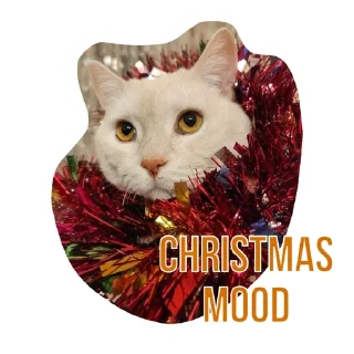 🌟 emoji Бусенки Telegram sticker 18 of 51