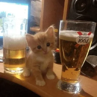 🍺 emoji гуччи генг Telegram sticker 9 of 108