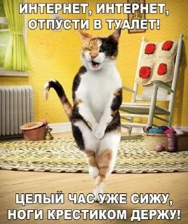 🌟 emoji Нечего тут нет Telegram sticker 21 of 40