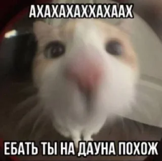 Sticker from Тычмоня<33 2.0