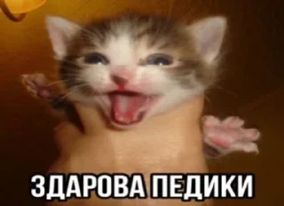 🌸 emoji Тычмоня<33 2.0 Telegram sticker 5 of 83