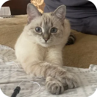 👄 emoji айла не в восторге Telegram sticker 14 of 57