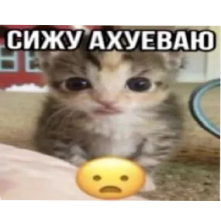 🐱 emoji говорящие meme's (и не только) Telegram sticker 12 of 61