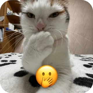 🐱 emoji говорящие meme's (и не только) Telegram sticker 7 of 61