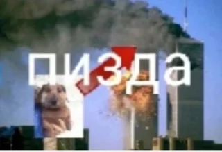 😳 emoji собака улыбака Telegram sticker 20 of 41