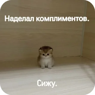 🐱 emoji говорящие meme's (и не только) Telegram sticker 15 of 61