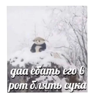 🖼 emoji говорящие meme's (и не только) Telegram sticker 20 of 61