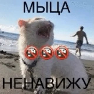 🌟 emoji пися попа Telegram sticker 13 of 96