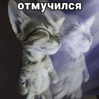 🌟 emoji пися попа Telegram sticker 17 of 96