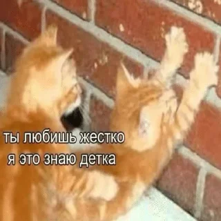 🌟 emoji пися попа Telegram sticker 20 of 96