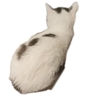 😛 emoji Все с кусей @korolpupsikov Telegram sticker 19 of 45