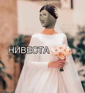 👰‍♀ emoji Memes Telegram sticker 21 of 120