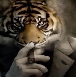 🚬 emoji bebrastan Telegram sticker 20 of 118