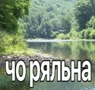 🌟 emoji природа ахуенная Telegram sticker 8 of 120