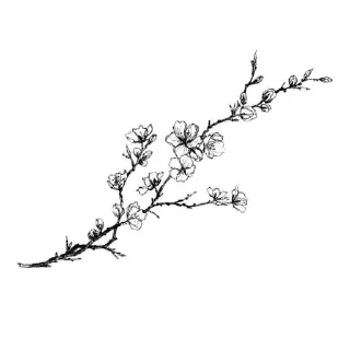 🌿 emoji NATURE @kerixadapter Telegram sticker 19 of 30