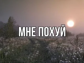 🌟 emoji природа ахуенная Telegram sticker 22 of 120