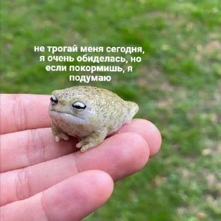 Sticker from Хи-хи ха-ха