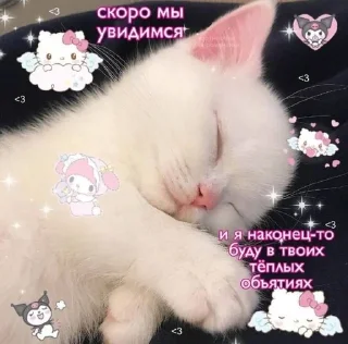 Sticker from Neko