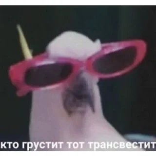 🤭 emoji Котеки @Xsmsxs Telegram sticker 14 of 37