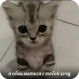 Sticker from Пуфыстик