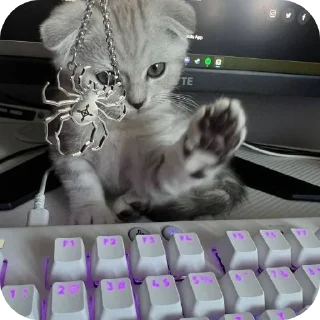 🐱 emoji котэкэ Telegram sticker 19 of 29