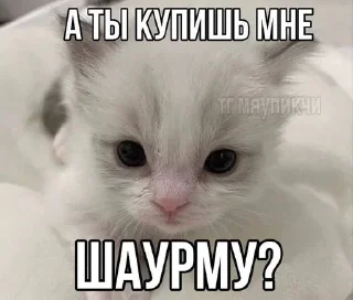 🌟 emoji ДЛЯ КОТИКОВ @RuBlackMafia Telegram sticker 14 of 68