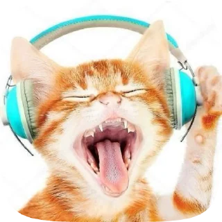 😄 emoji Cat core Telegram sticker 14 of 120