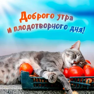 ❤️ emoji @pozdravlenia0 ⬅️ Открытки тут Telegram sticker 20 of 32