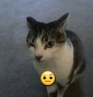Sticker from MeMÎKaT