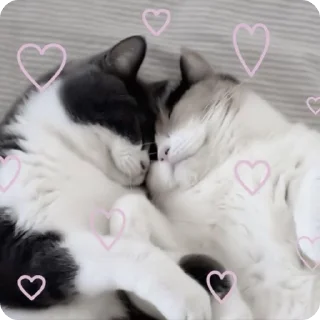 💞 emoji kitty♡ Telegram sticker 12 of 55